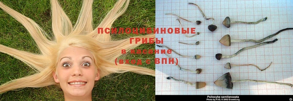 тгк Абинск