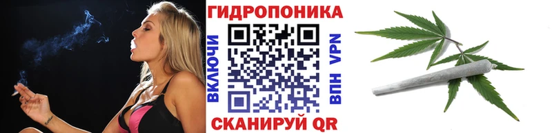 MEGA вход  Тбилисская  Марихуана марихуана  купить закладку 